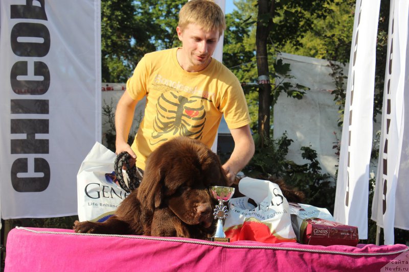 Фотография № 161744