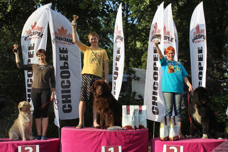 Фотография № 161746