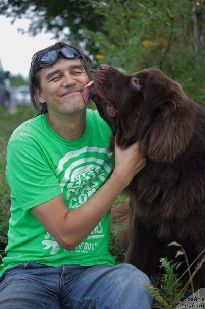 Фотография № 161747