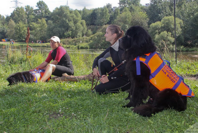 Фотография № 161749