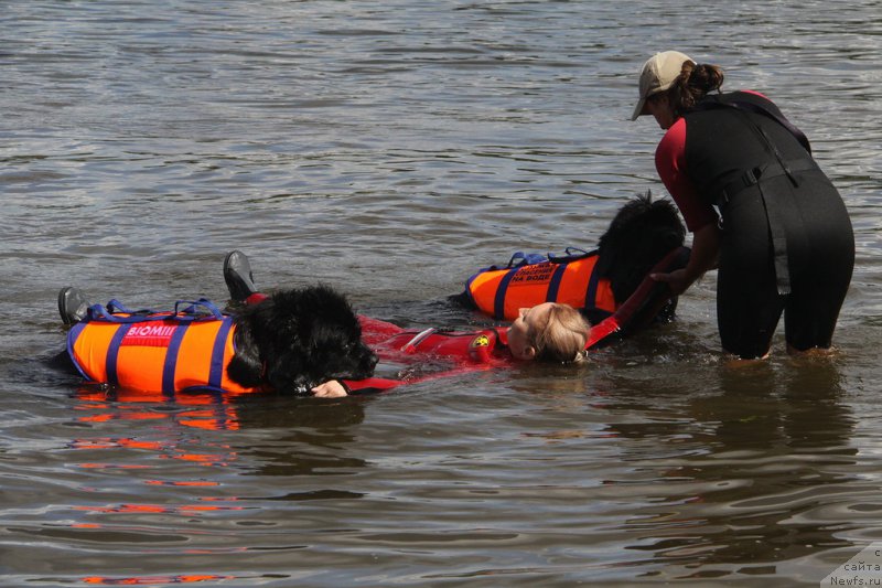 Фотография № 161751