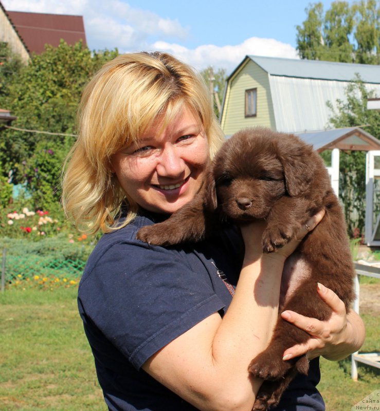 Фото: Ekaterina Stankevich (Екатерина Станкевич), с дочуркой, ньюфаундленд Brownblood MSK Happy Teddy (Браунблад МСК Хэппи Тедди)