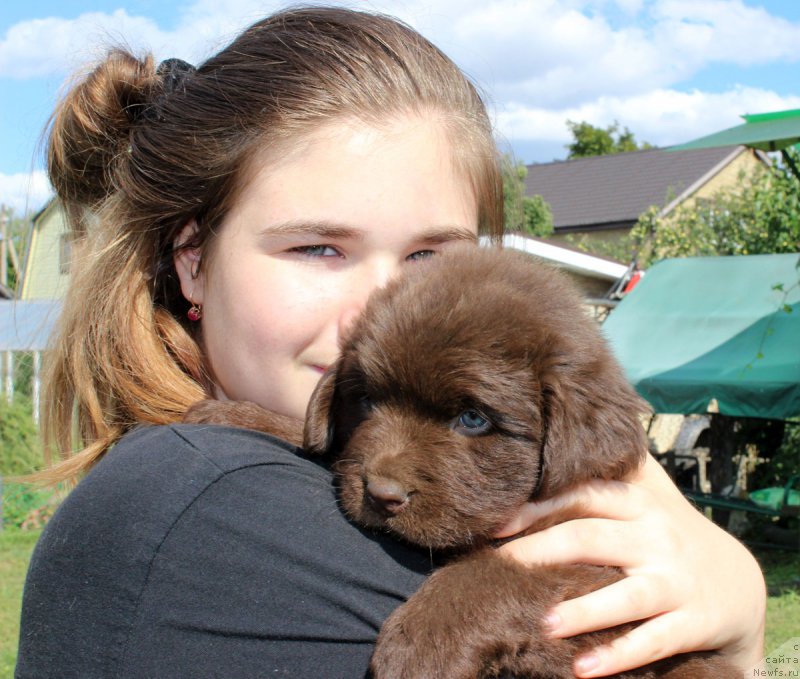 Фотография № 161763