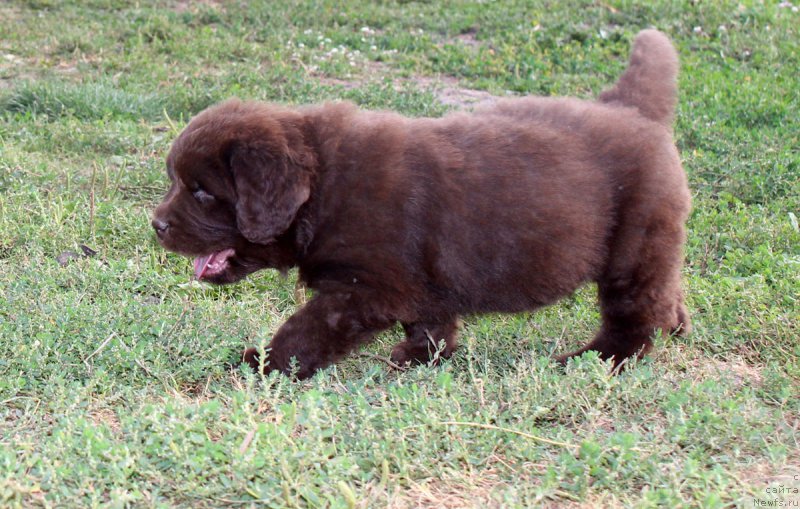 Фотография № 161767