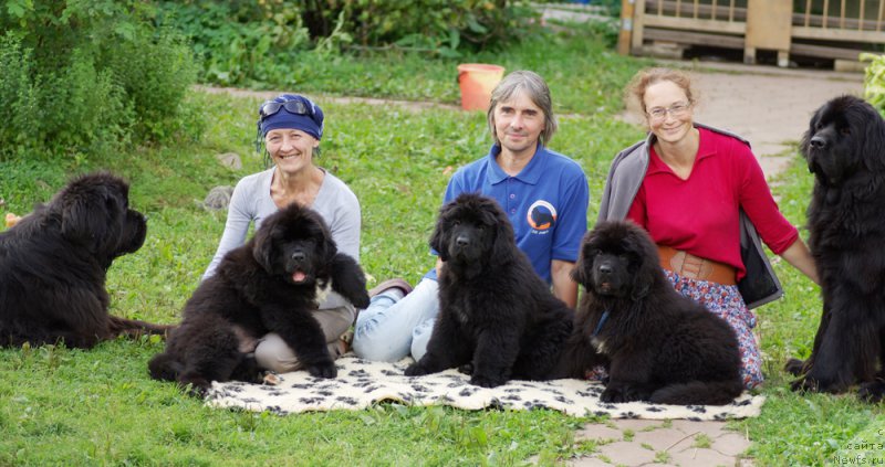 Фото: ньюфаундленд Beguschaya po Volnam Dancing Queen (Бегущая по Волнам Дансинг Квин), ньюфаундленд Beguschaya po Volnam Harizma (Бегущая по Волнам Харизма), Ol'ga Koroleva (Ольга Королева), [p1960]  и щенки Маруси и Макса