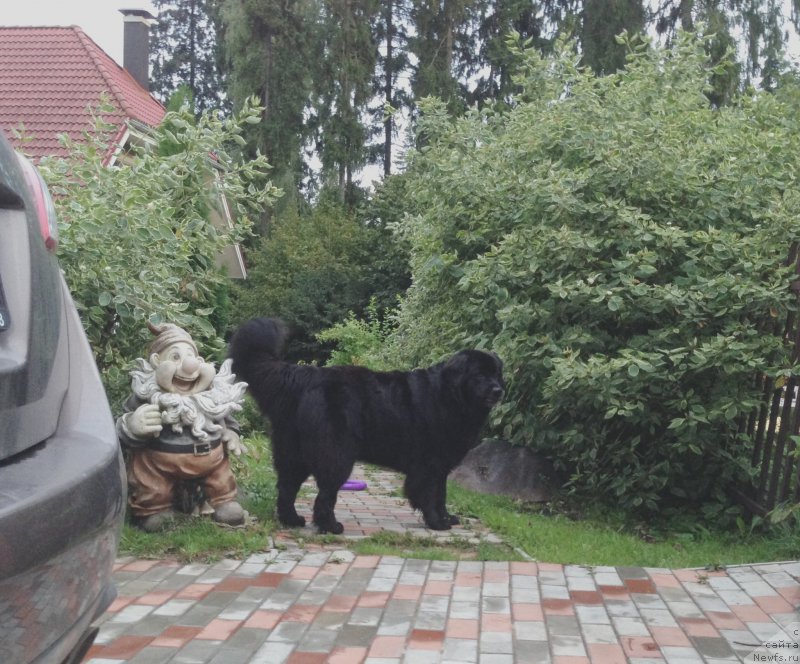 Фотография № 161794