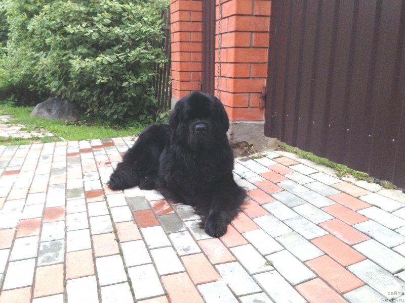 Фотография № 161795