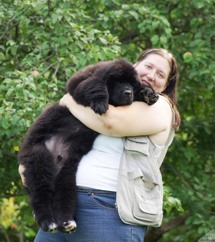 Фотография № 161796