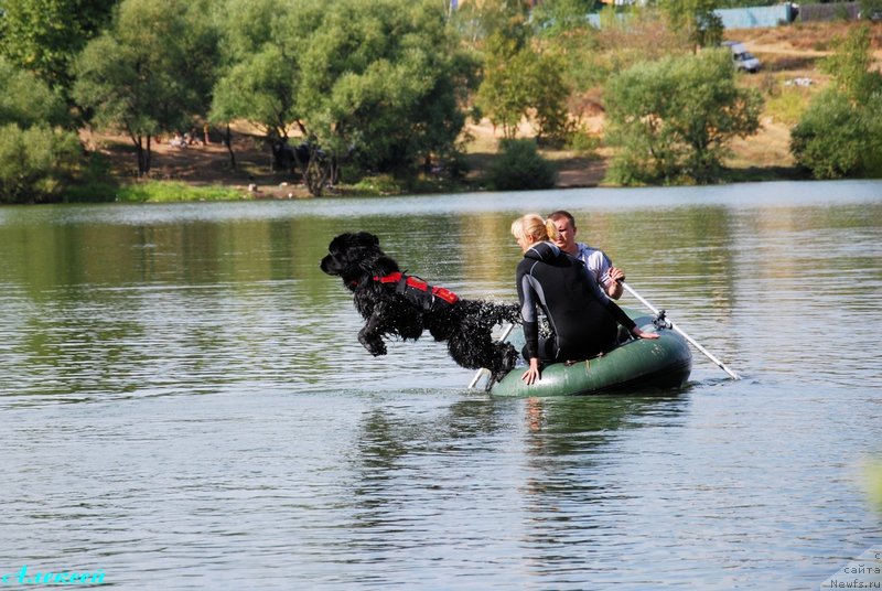 Фотография № 161800