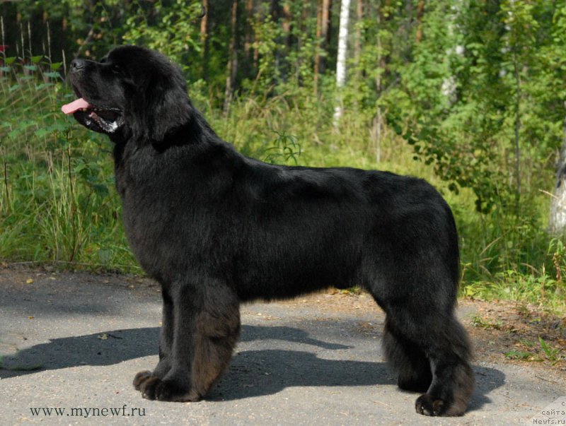 Фотография № 161818