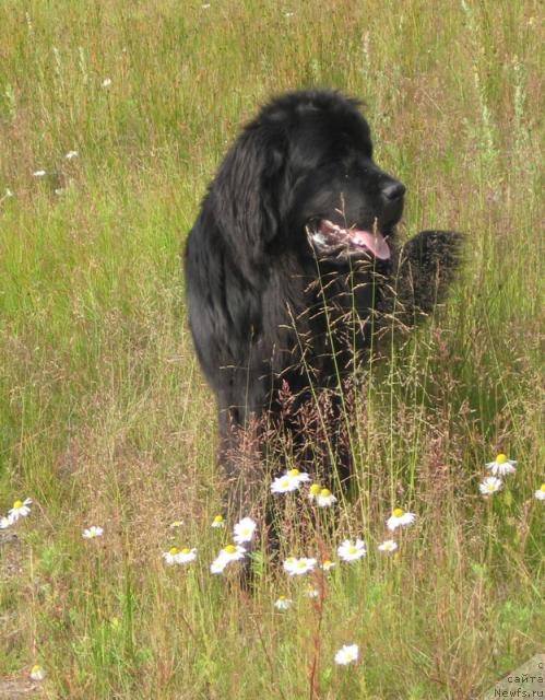 Фотография № 16182