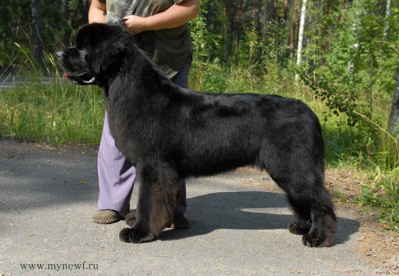 Фотография № 161821