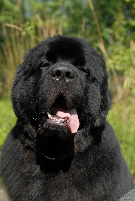 Фотография № 161823