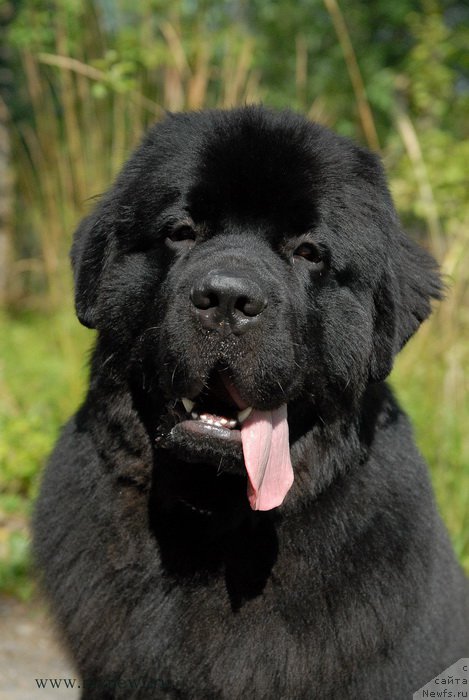 Фотография № 161824