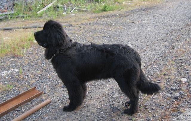 Фотография № 16183