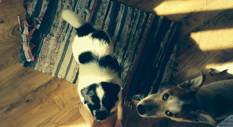 Фото: Ol'ga Gavrilyuk (Ольга Гаврилюк)