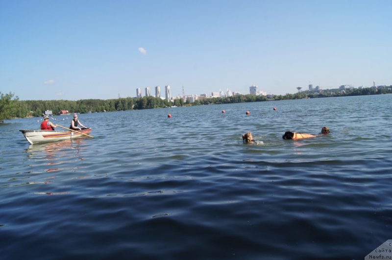 Фотография № 161846