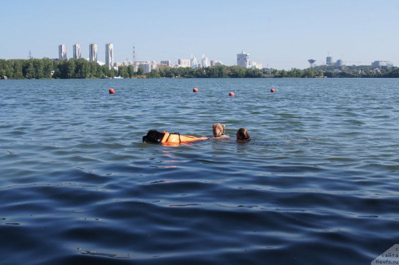 Фотография № 161847