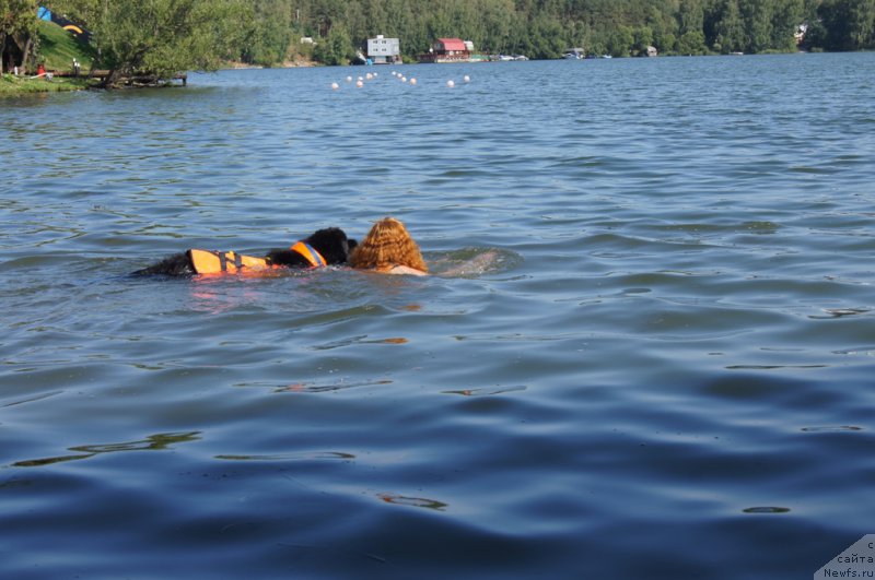 Фотография № 161848