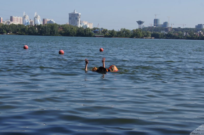 Фотография № 161850