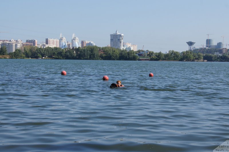 Фотография № 161851