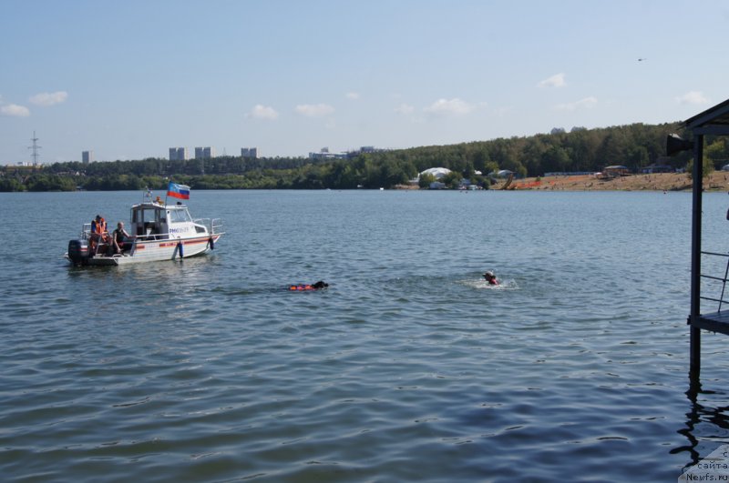 Фотография № 161853