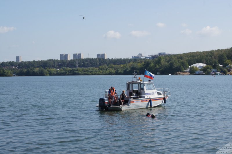 Фотография № 161854