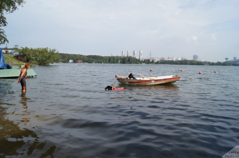 Фотография № 161856