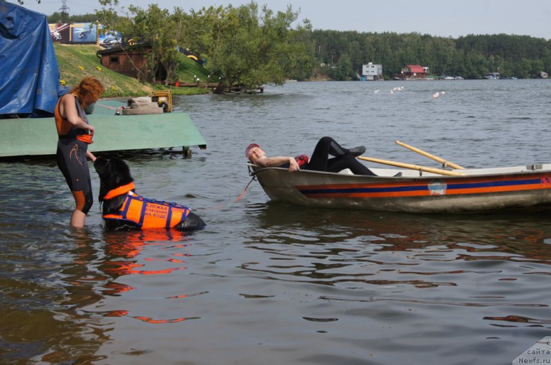 Фото: Elizaveta Safiullina (Елизавета Сафиуллина), ньюфаундленд Giacomo vom Darius Land, Ol'ga Muzyichuk (Ольга Музычук)