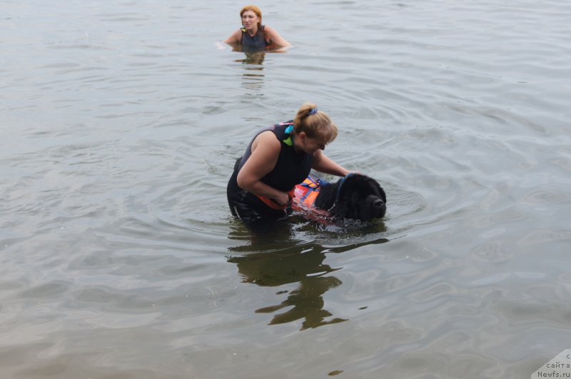 Фотография № 161858