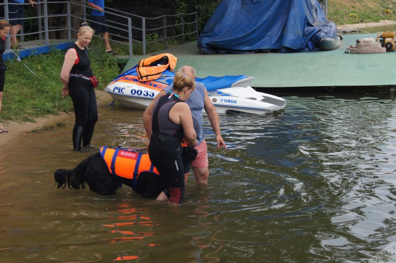 Фотография № 161859