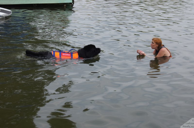 Фотография № 161860