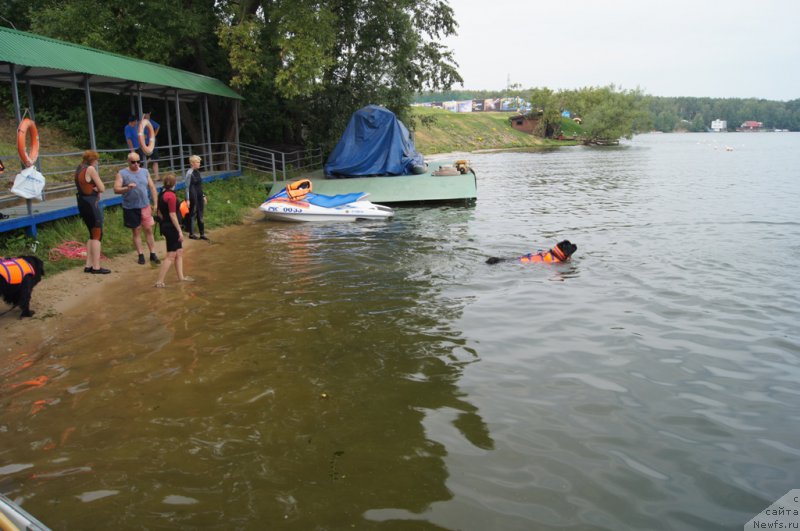 Фотография № 161861