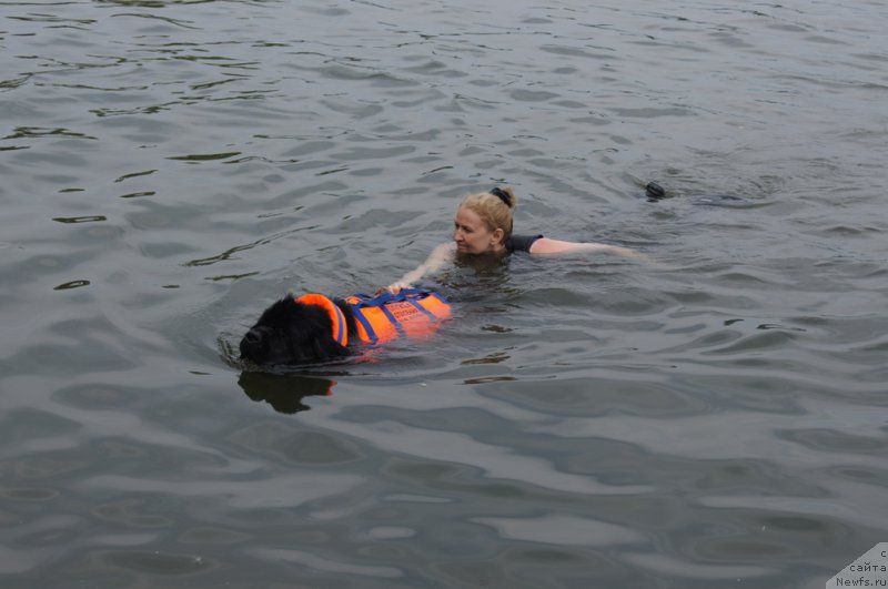 Фотография № 161862