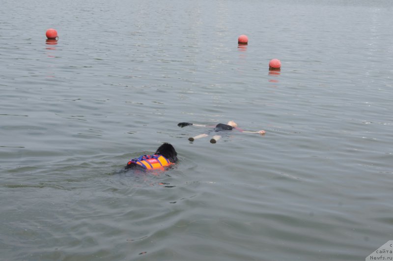 Фотография № 161870