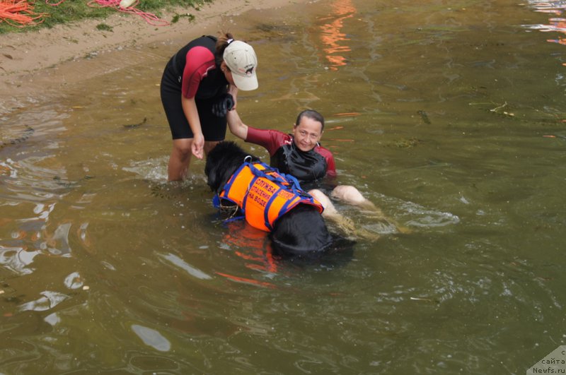 Фотография № 161874