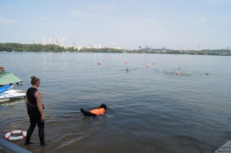 Фотография № 161875