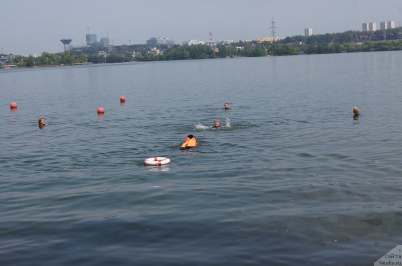 Фотография № 161876