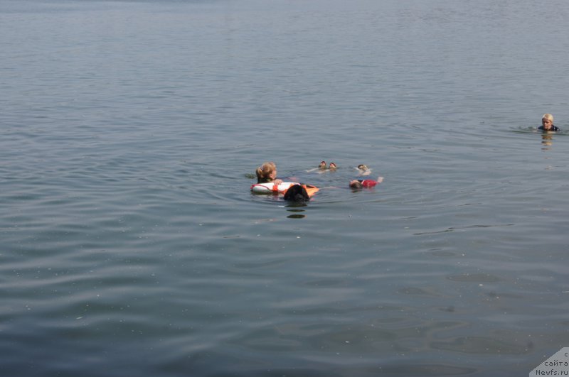 Фотография № 161878