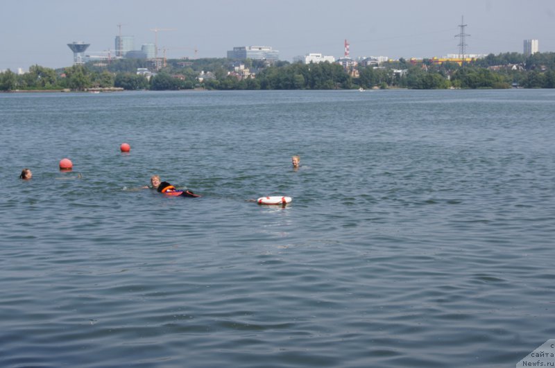 Фотография № 161880