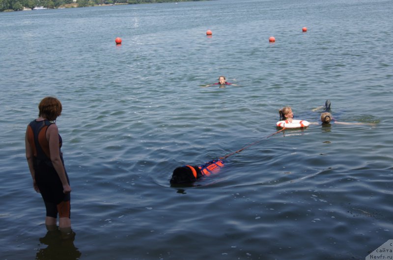 Фотография № 161882