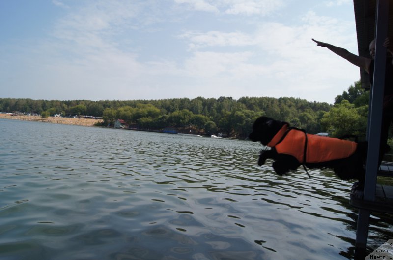 Фотография № 161883