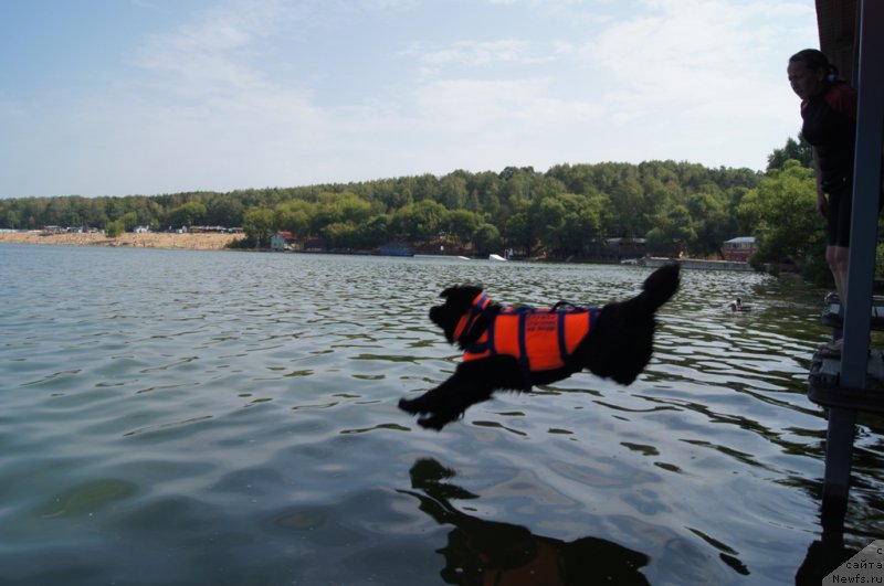 Фотография № 161884