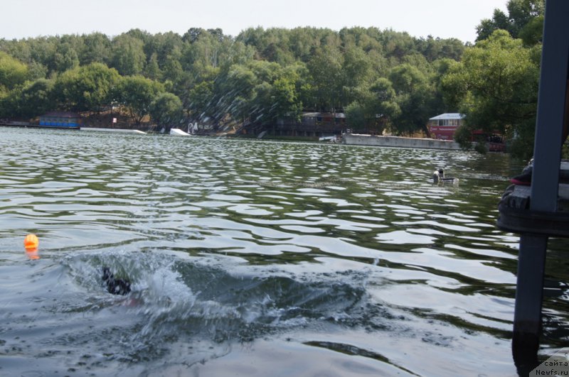 Фотография № 161885