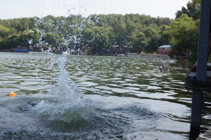 Фотография № 161886