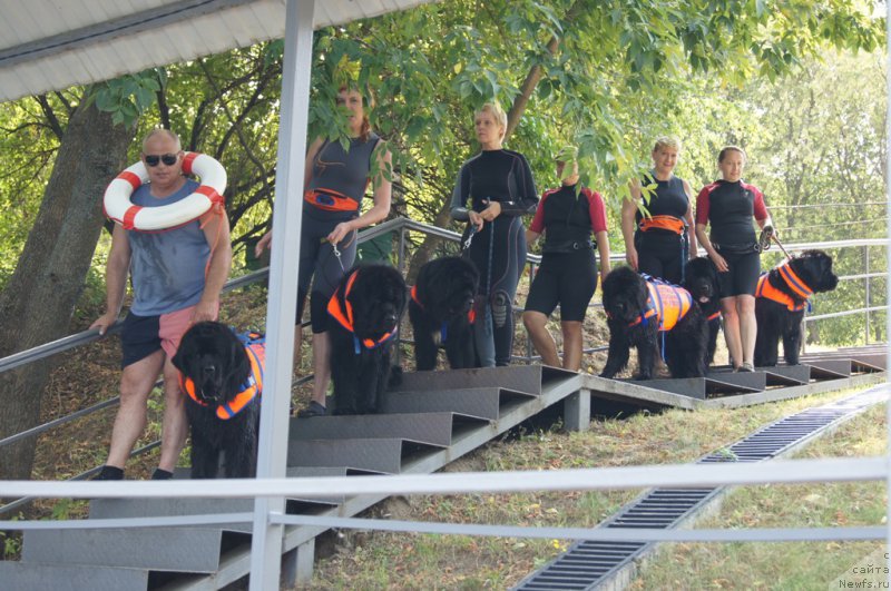 Фотография № 161892