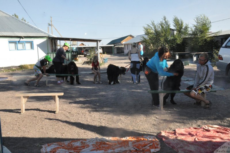 Фотография № 161956