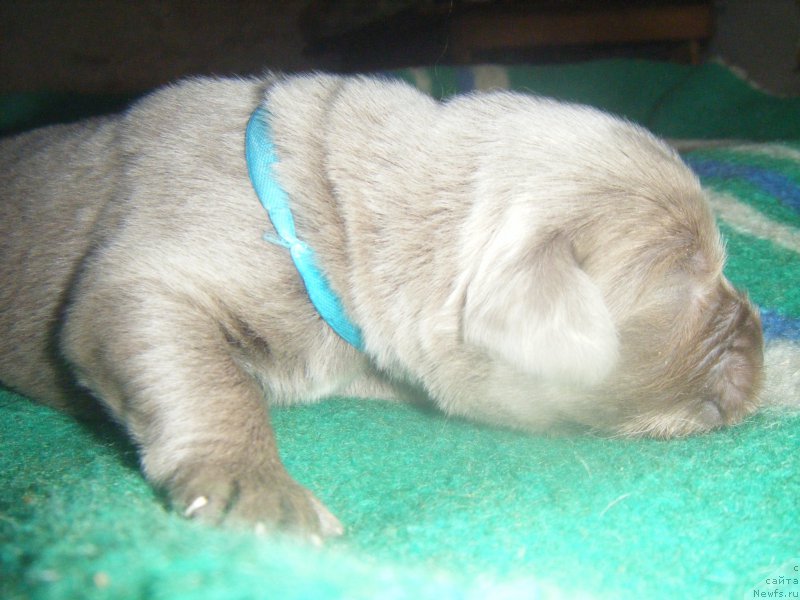 Фотография № 161974