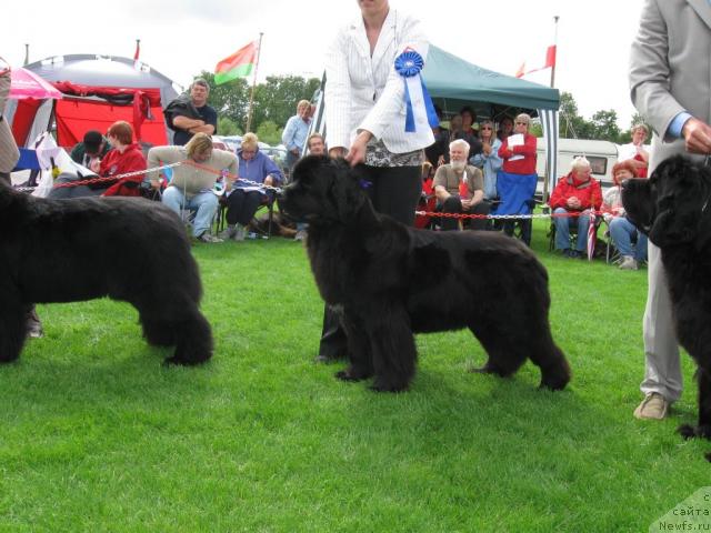 Фотография № 16202