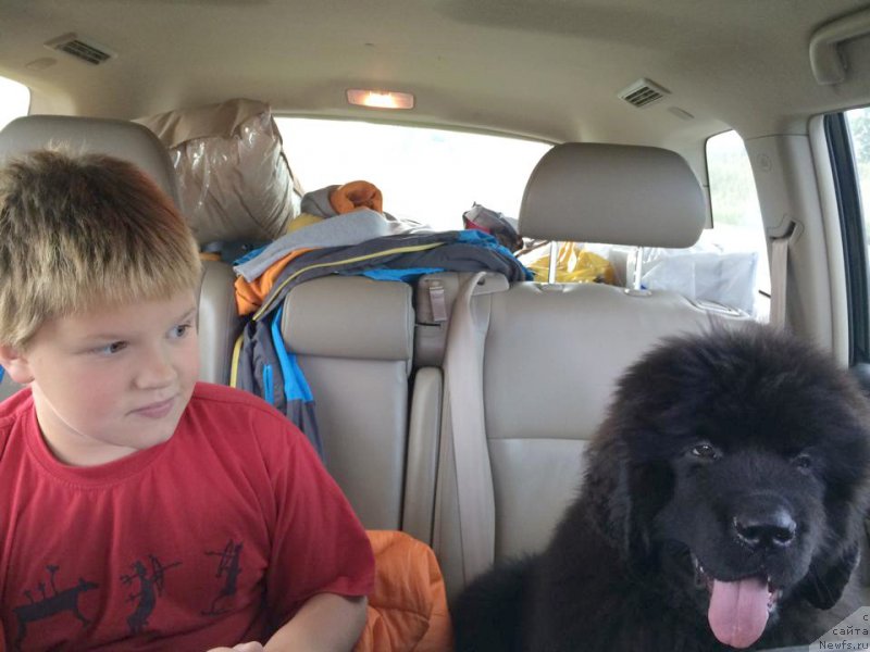 Фото: Бегущая по волнам Чойс оф Фибоначчи